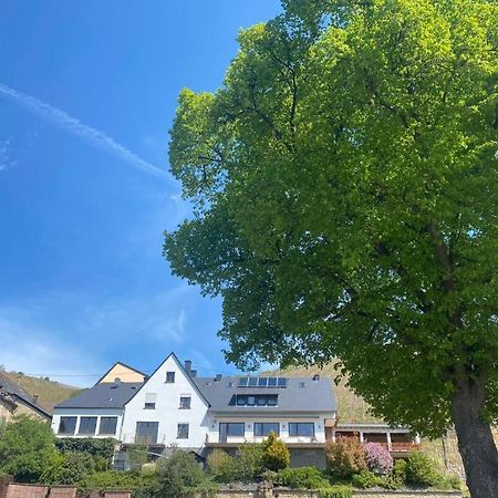 Chateau-De-La-Moselle Kinheim Buitenkant foto