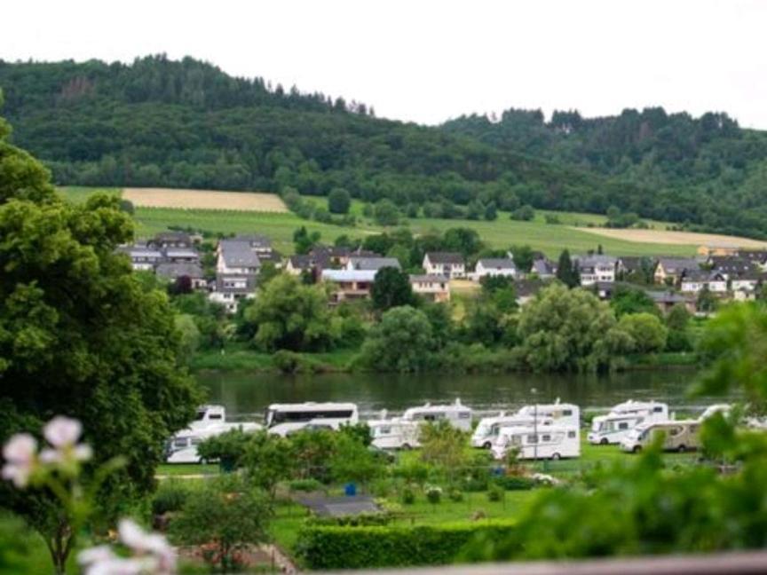 Chateau-De-La-Moselle Kinheim Buitenkant foto