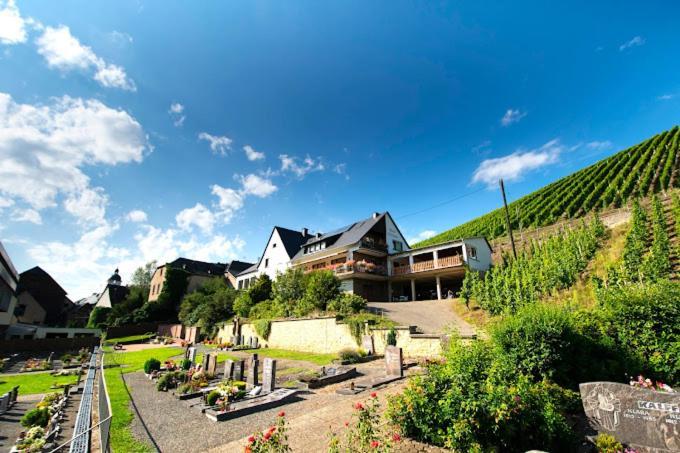 Chateau-De-La-Moselle Kinheim Buitenkant foto